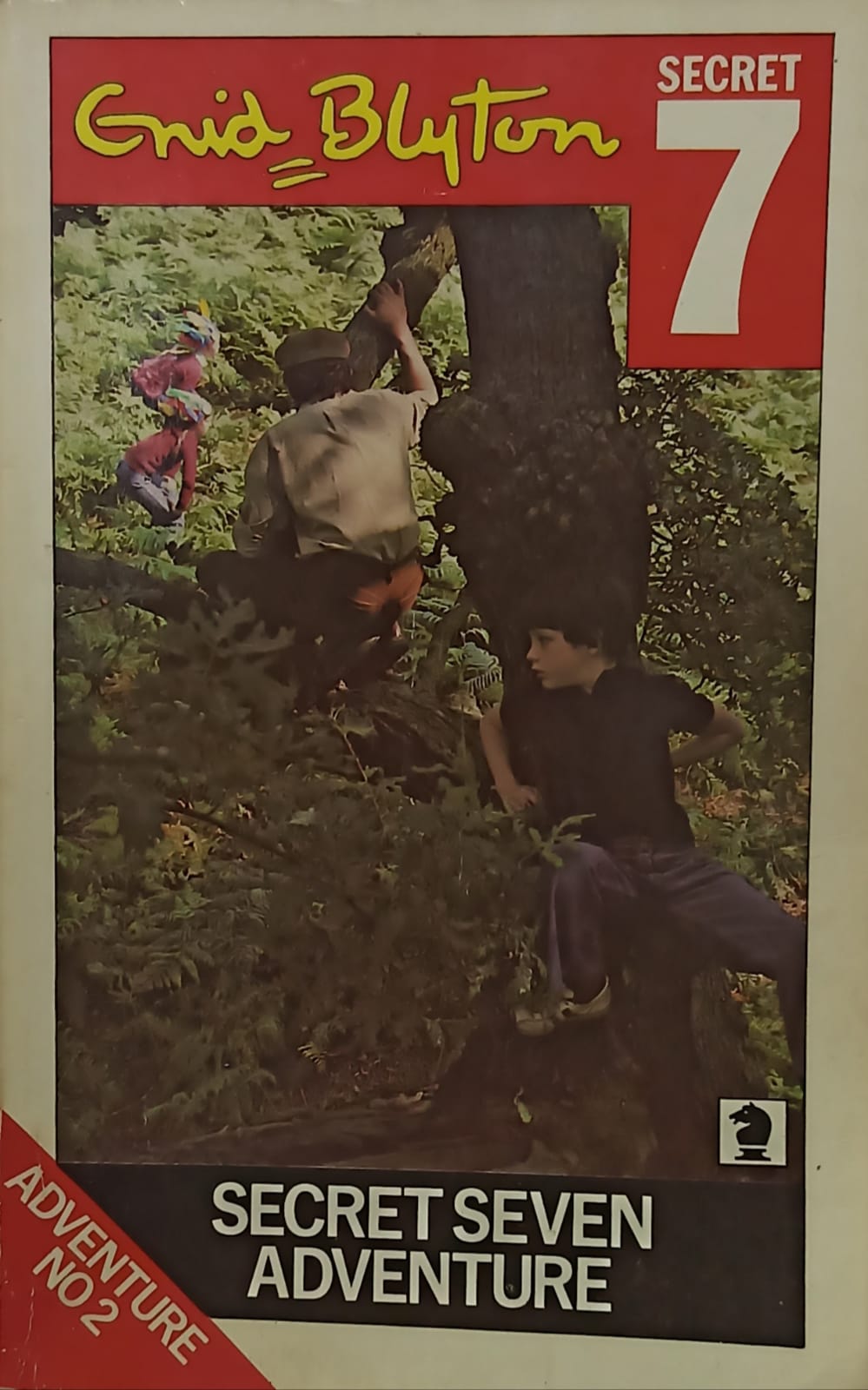 Secret Seven Adventure Book 2