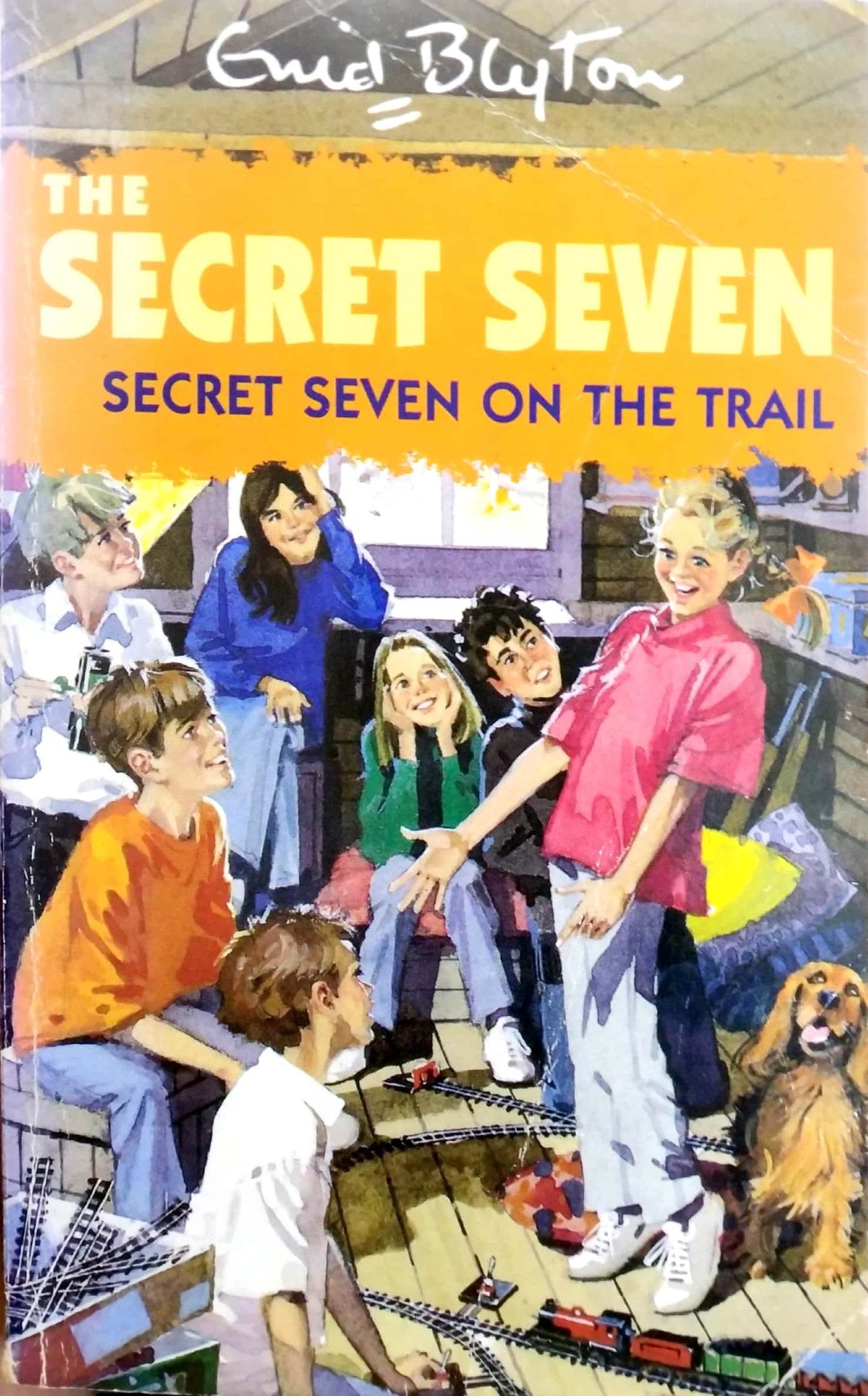 Secret Seven On The Trail