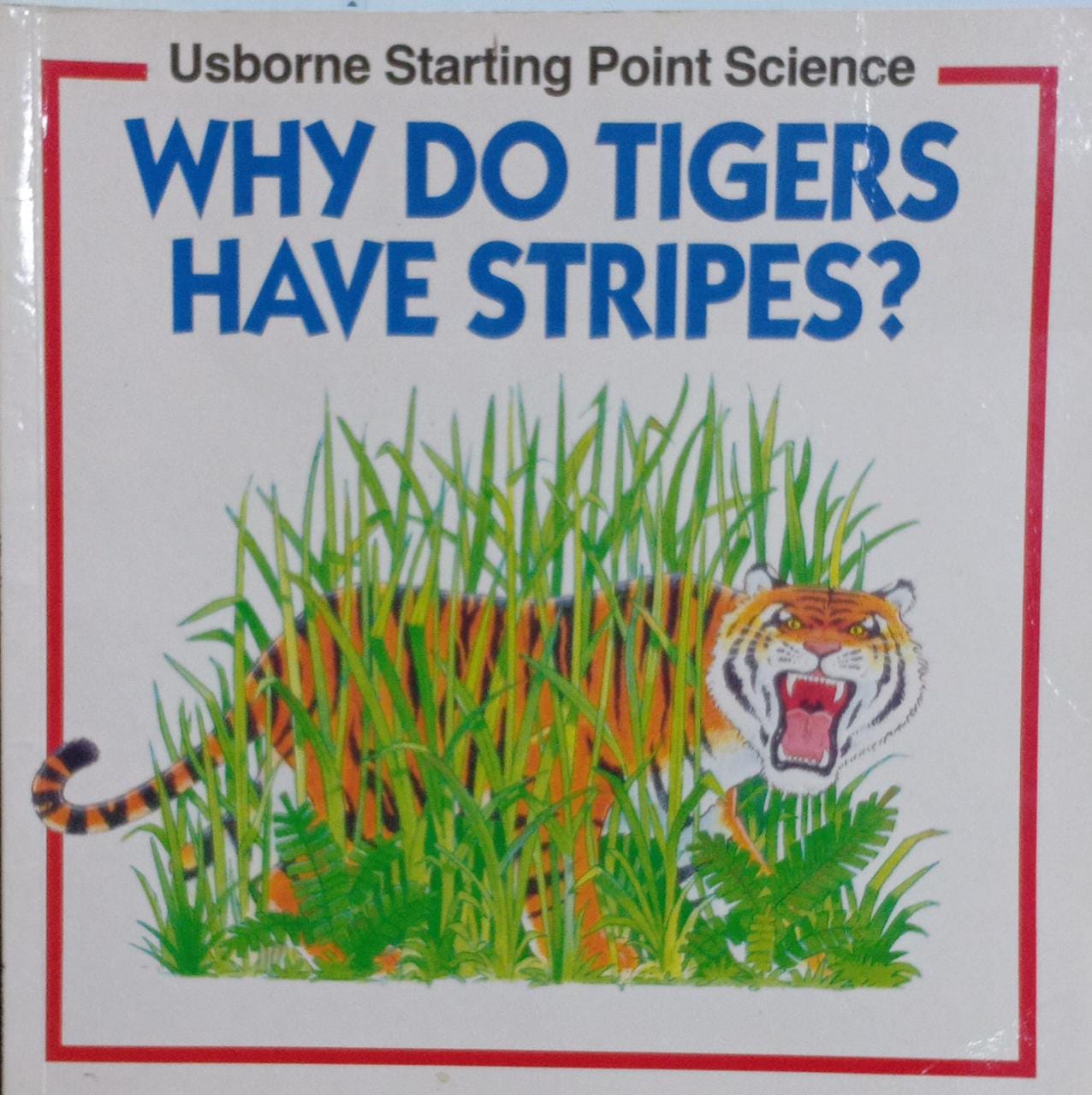 Why Do Tigers Have Stripes?
