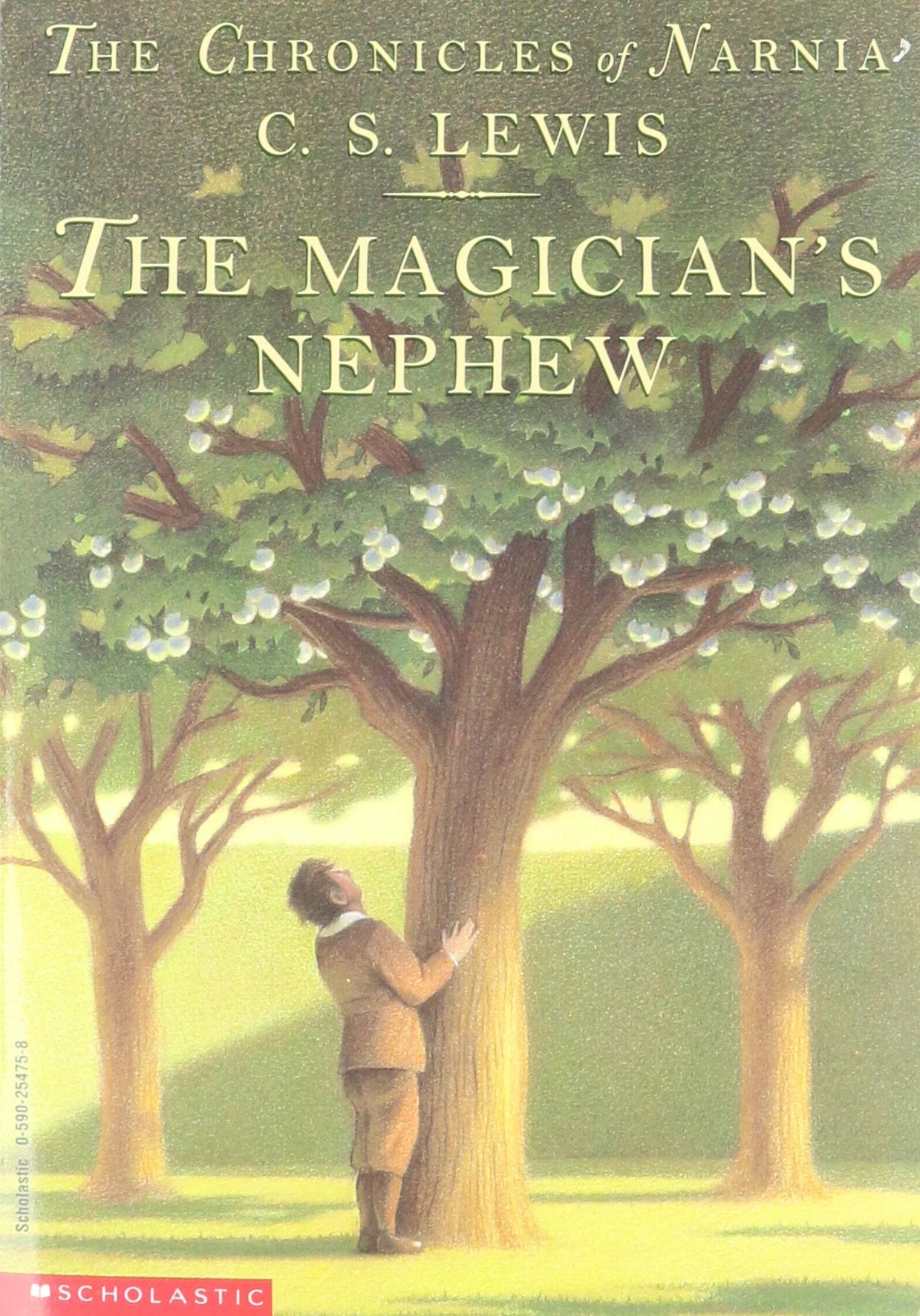 The Magician's Nephew: 1 (Chronicles of Narnia,)