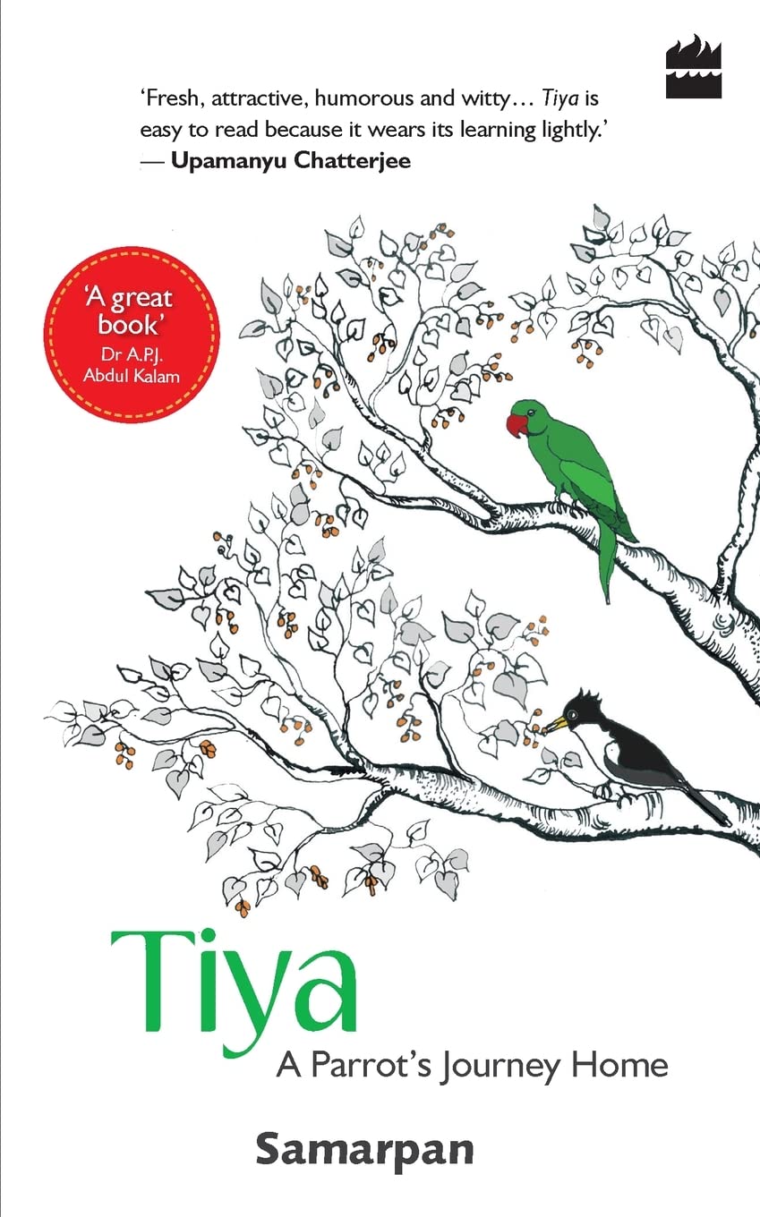 Tiya: a parrot's journey home