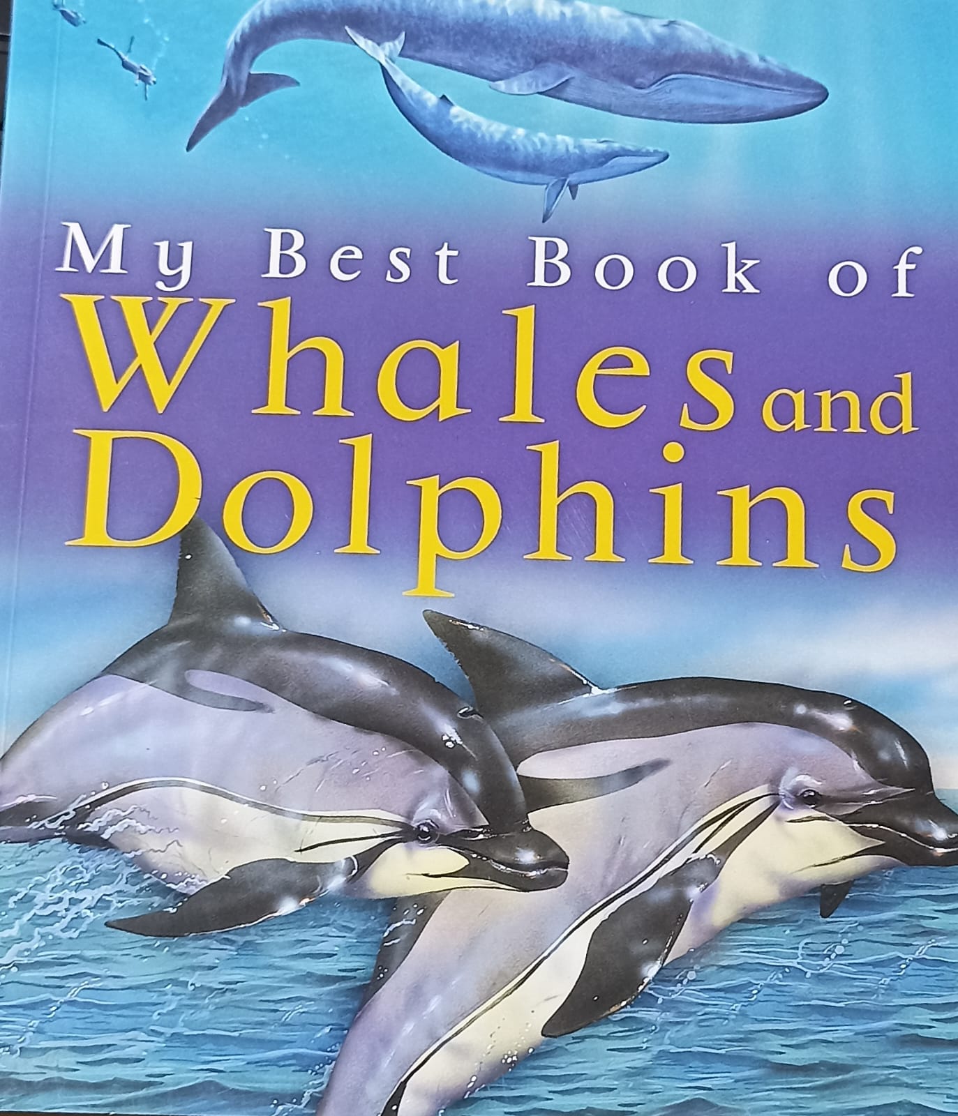 My Best Book of Whales and Dolphins