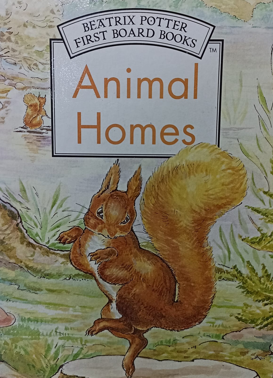 Animal Homes (BOARD BOOK)