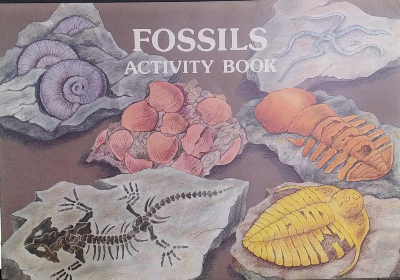 FOSSILS ACTIVITY BOOK