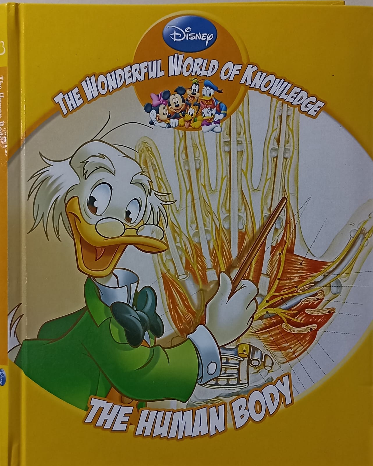 DISNEY The Wonderful World of Knowledge The Human Body (HARDCOVER)