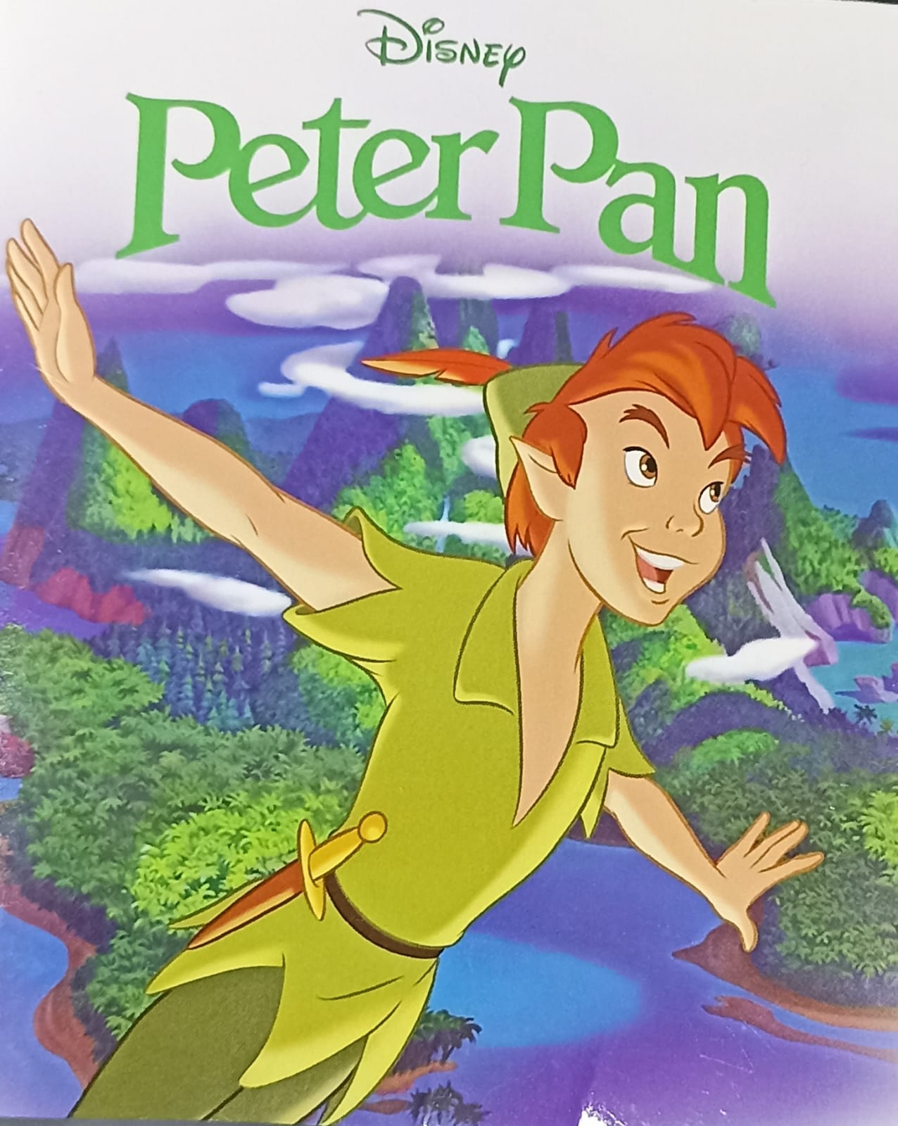 Disney Peter Pen (PALM SIZE)