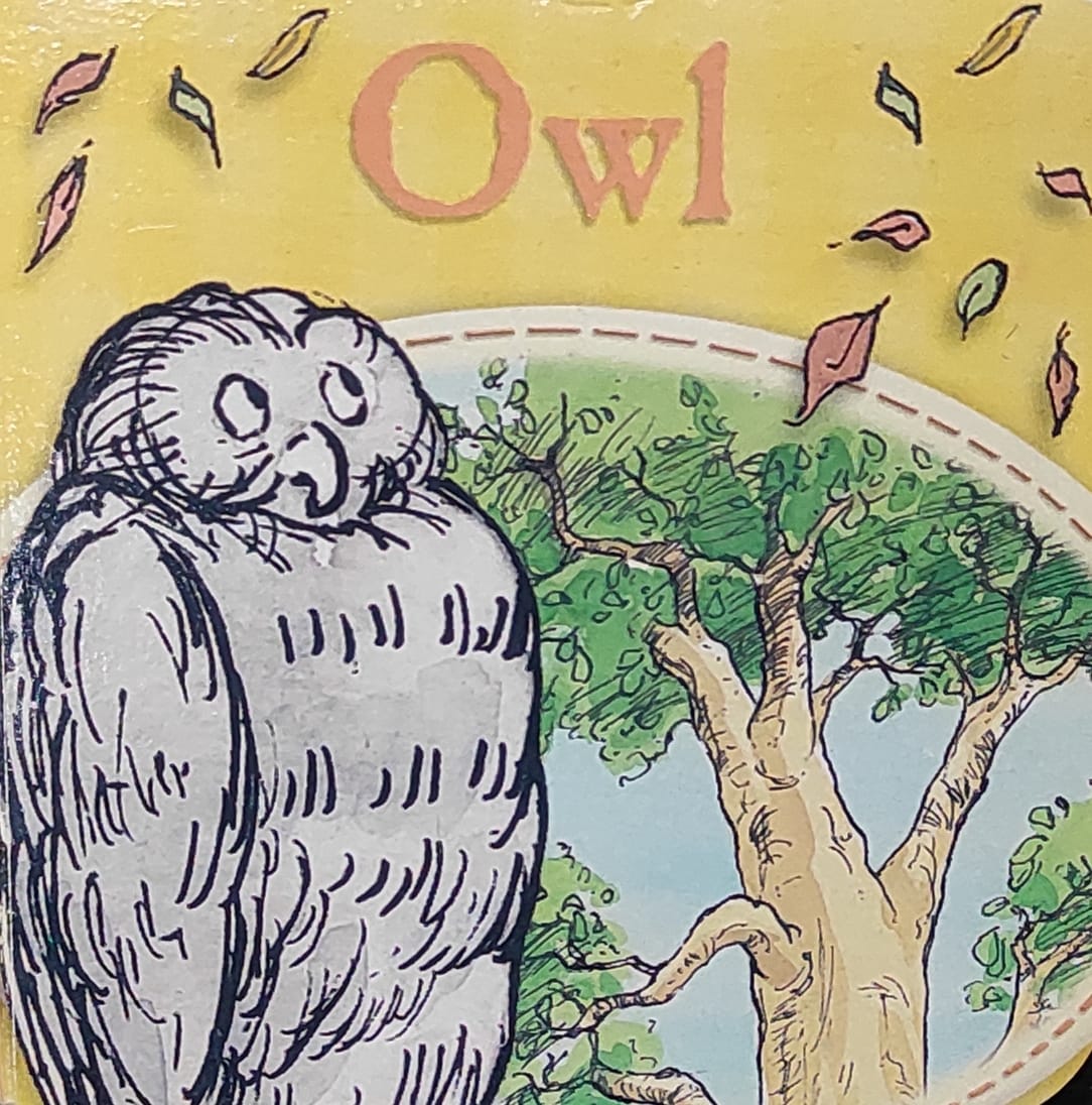 Owl (Palm Size Boardbook)