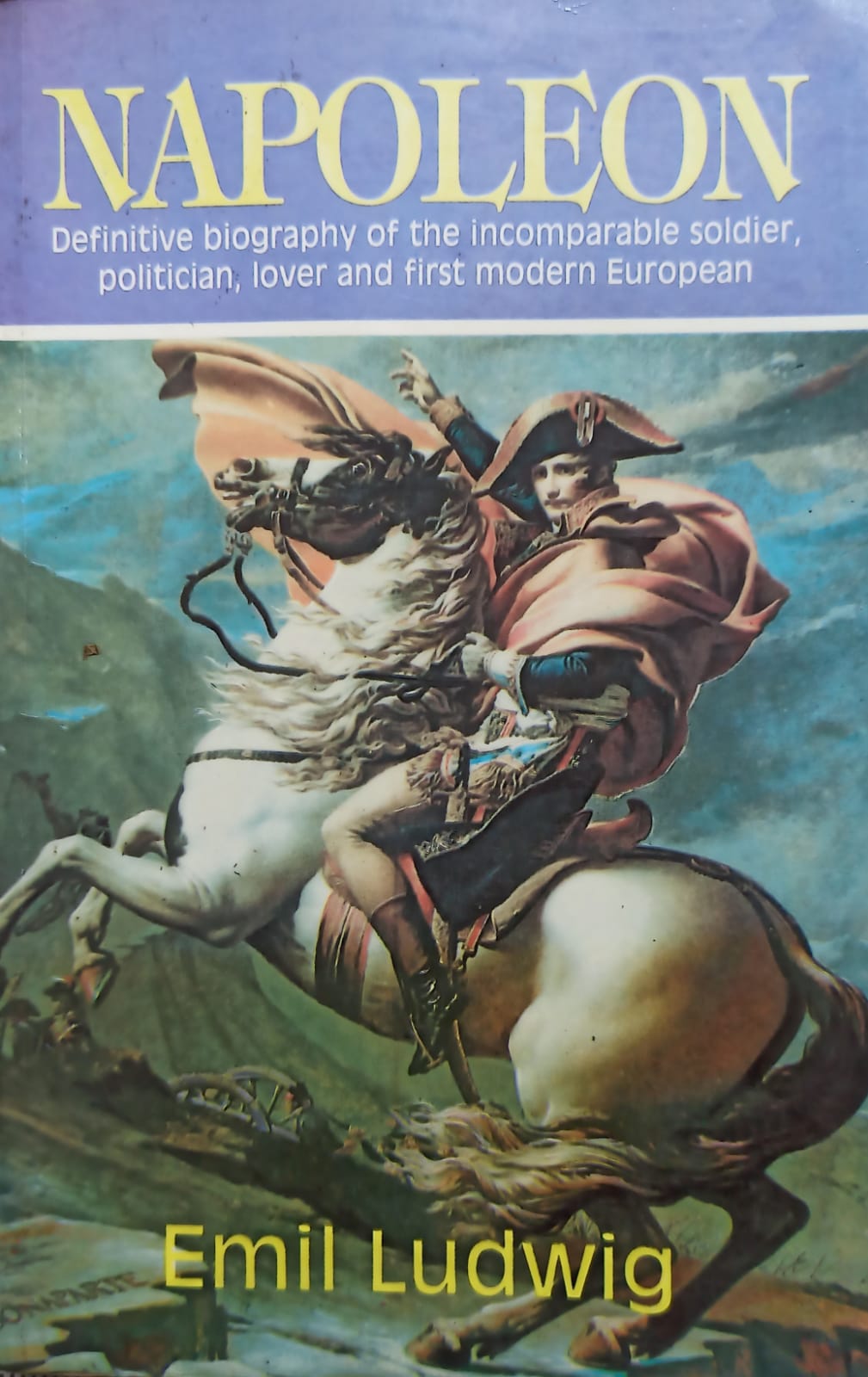 Napoleon by Emil Ludwig