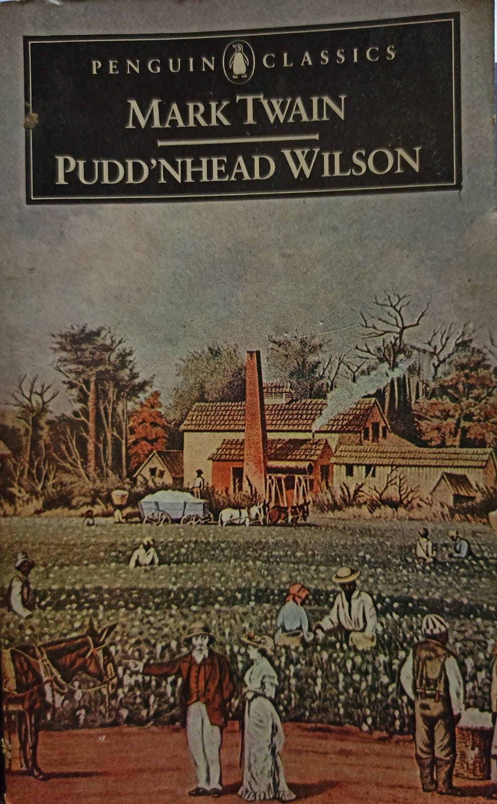 Pudd'nhead Wilson