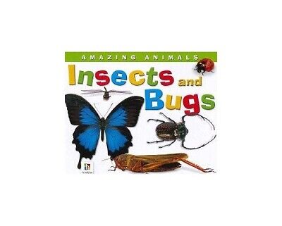 Amazing Animals Insects and Bugs Book (BOARD BOOK)