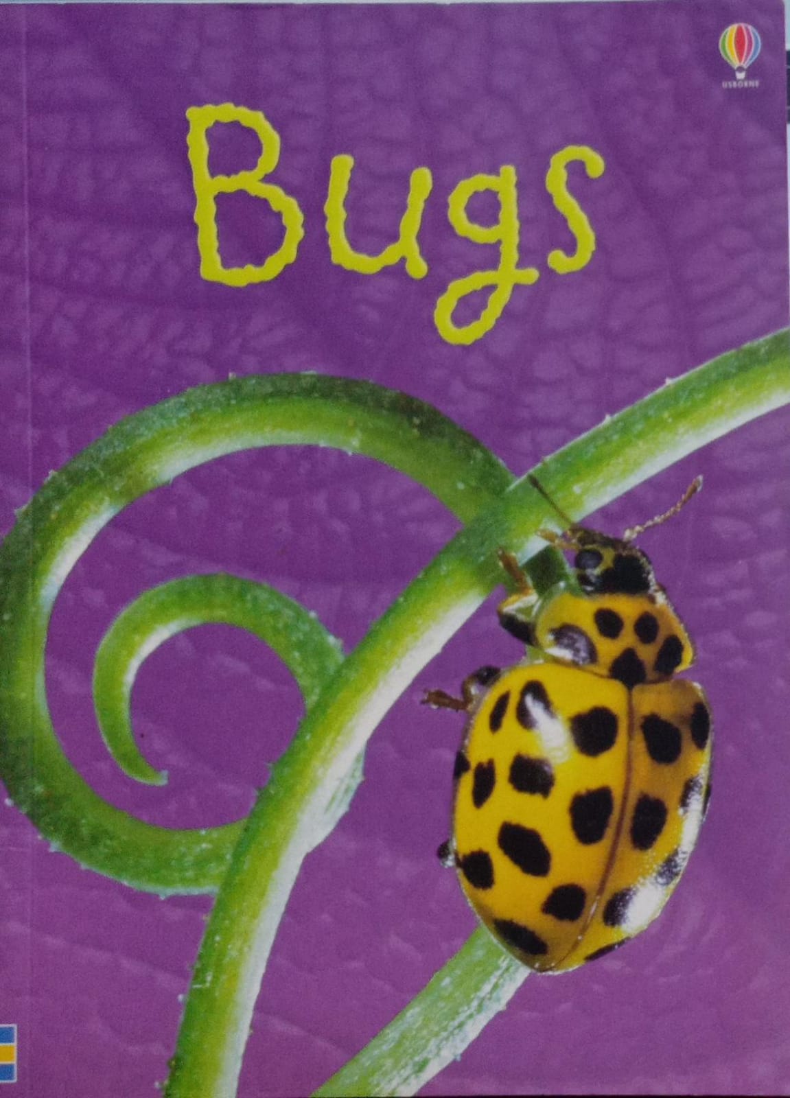 bugs