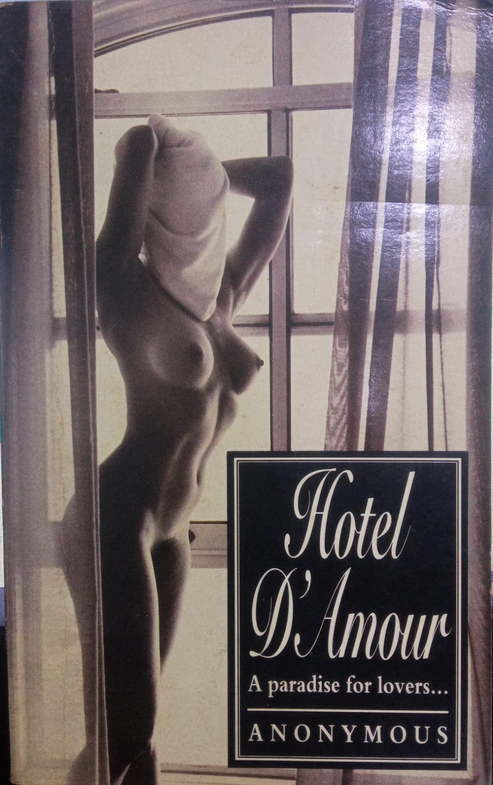Hotel D'Amour [RARE BOOKS]