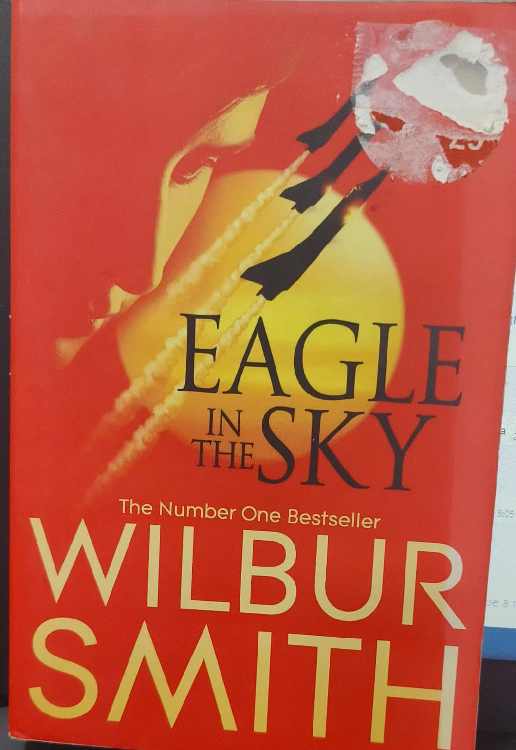 Eagle in the Sky