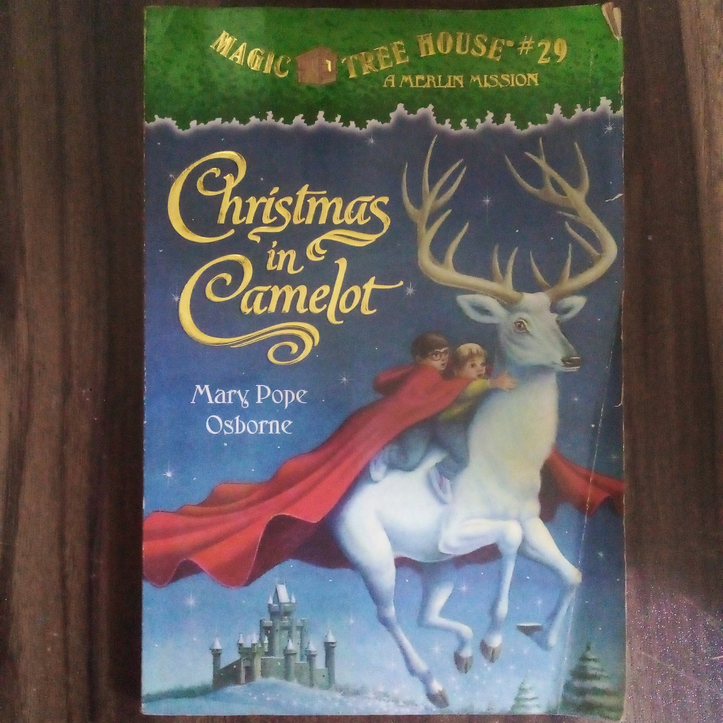 Magic Tree House #1 Merlin Mission