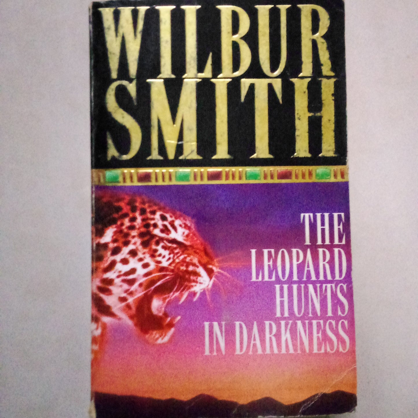 The Leopard Hunts in Darkness