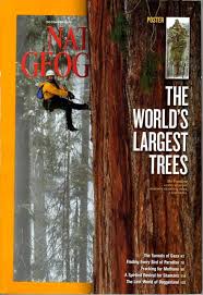 The World's Largest Trees [NATIONAL GEOGRAPHIC Magazine] December 2012 [RARE BOOKS]