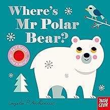 Where's Mr Polar Bear? [Felt flaps and a mirror] [Hardcover]