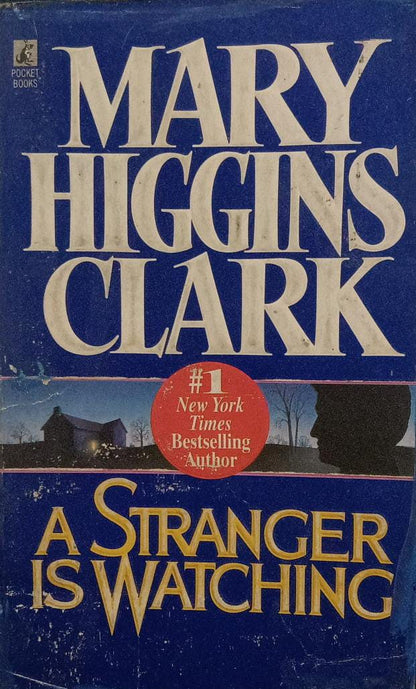 A Stranger Is Watching