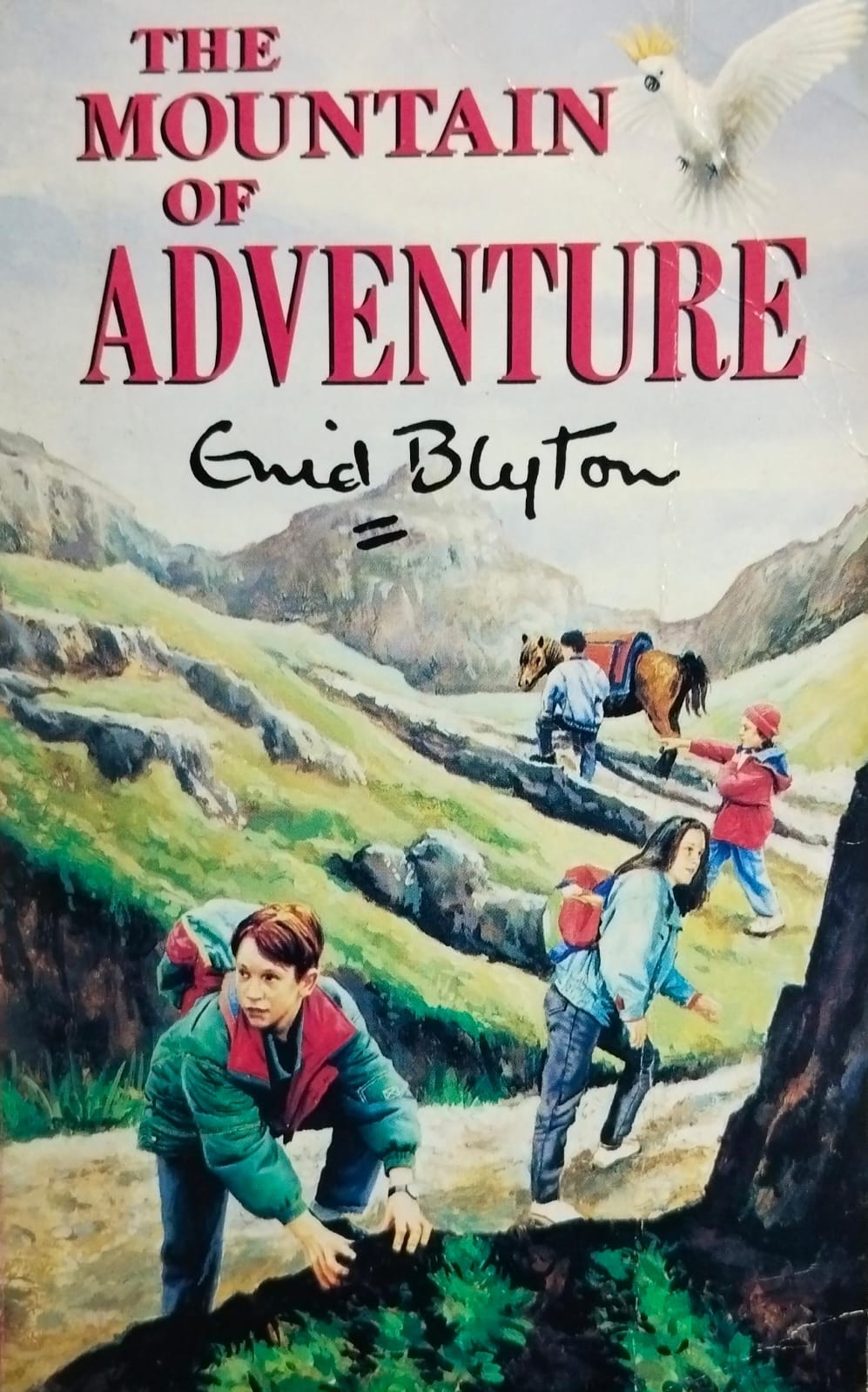 The mountain of adventure