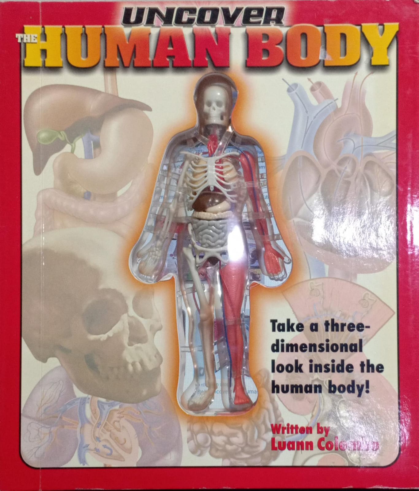 Uncover the Human Body (Uncover Books) [Board book]