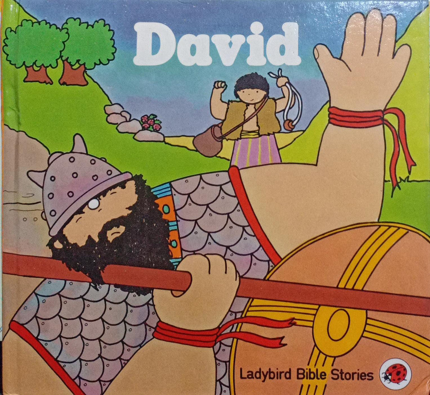 David [hardcover]