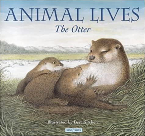 ANIMAL LIVES The Otter [hardcover]