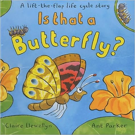 Is That a Butterfly? [hardcover] [lift the flap]