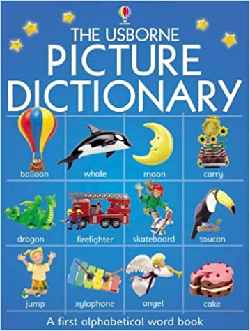 Picture dictionary (usborne everyday words) [hardcover]