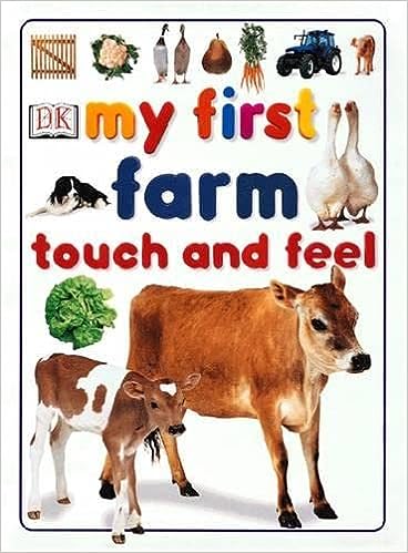 Farm (My First Touch and Feel) [Board book]