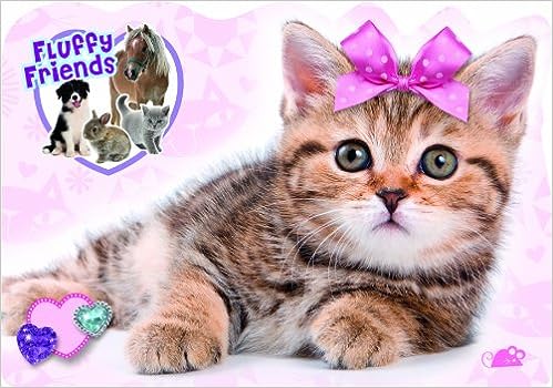 Cute Kitten [board book]