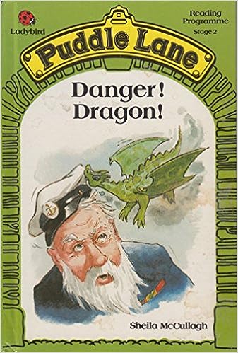 Danger Dragon [hardcover]