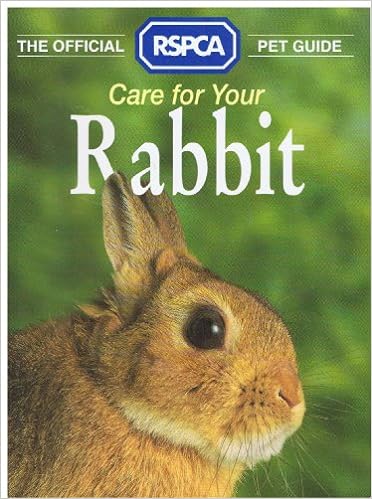 Care for your Rabbit