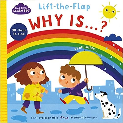 Little Learn Flap Why Is...? [Board book] [lift the flap]