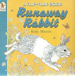 Runaway Rabbit