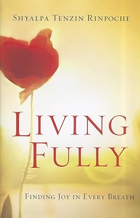Living Fully [hardcover]