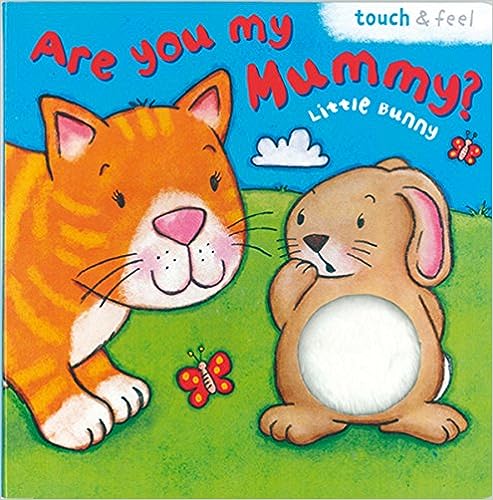 Are You My Mummy? [TOUCH THE FEEL BOOK] [BOARD BOOK]