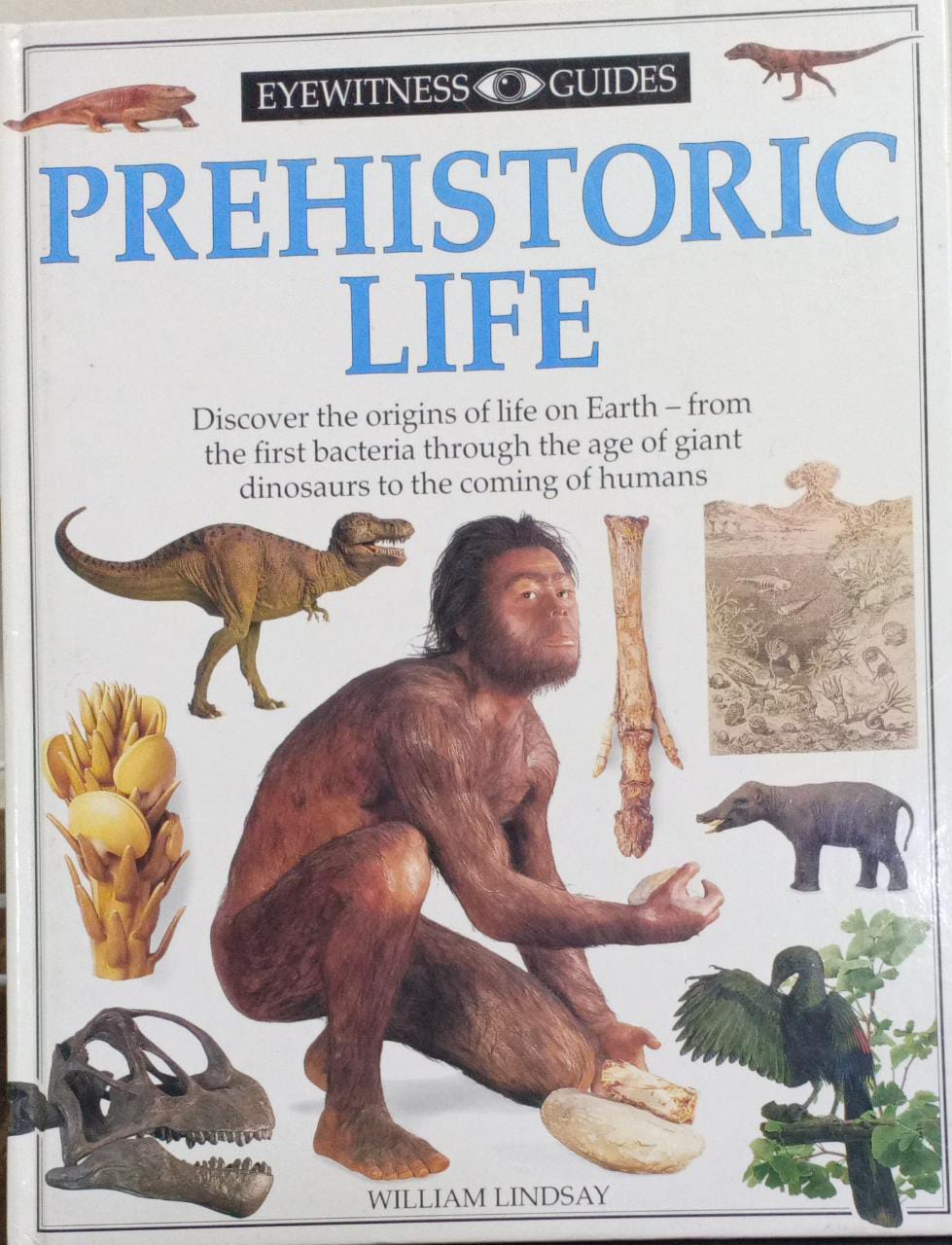 Prehistoric Life [Hardcover]