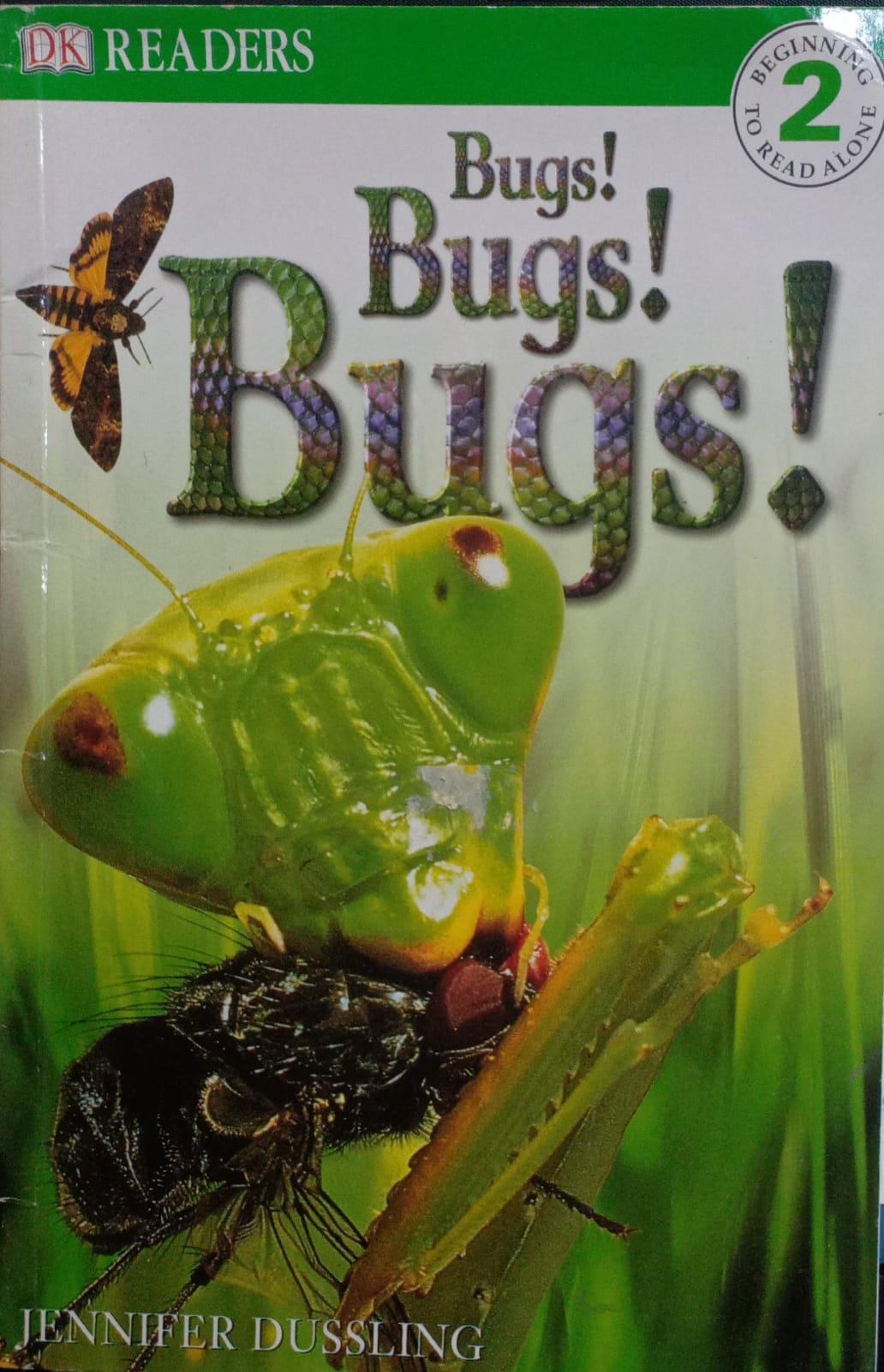 Bugs! Bugs! Bugs!