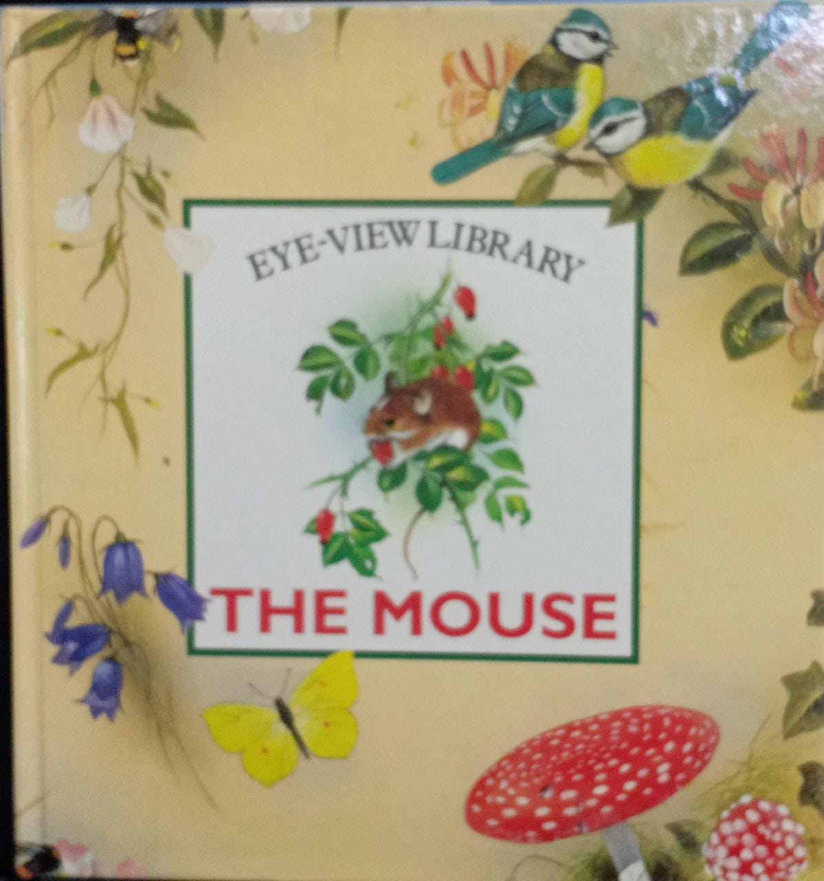 Eye-view Library: The Mouse [HARDCOVER]