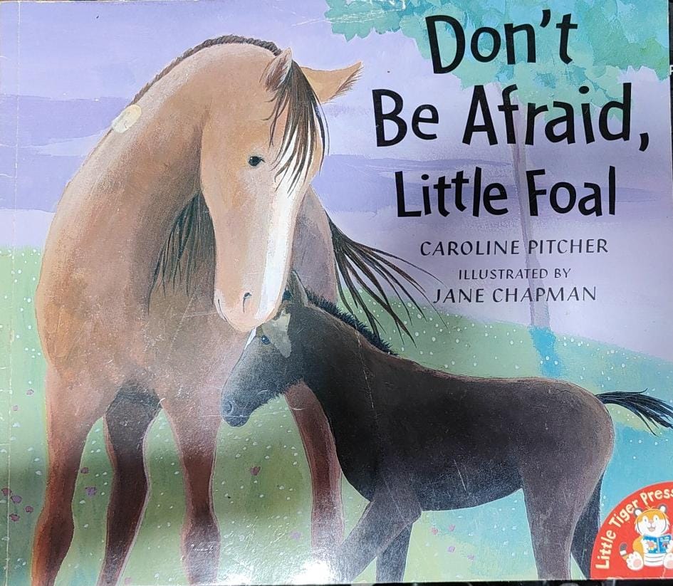 Don't be Afraid, Little Foal