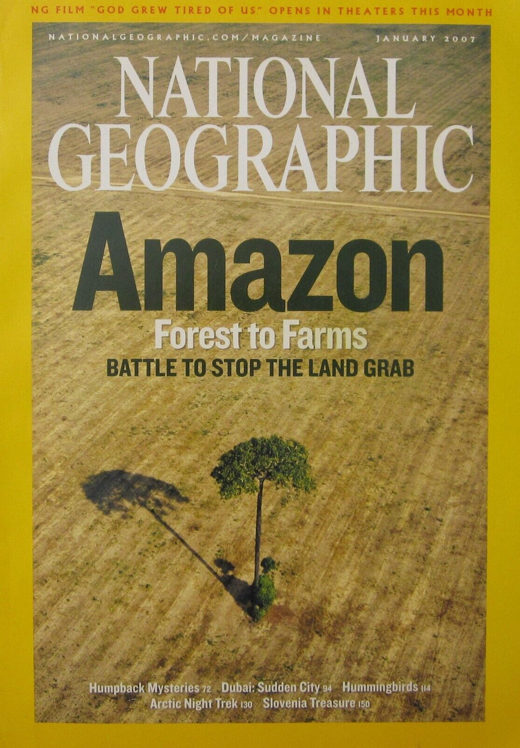 Amazon forests to farms [national geographic magazine] [rare books][january 2007]