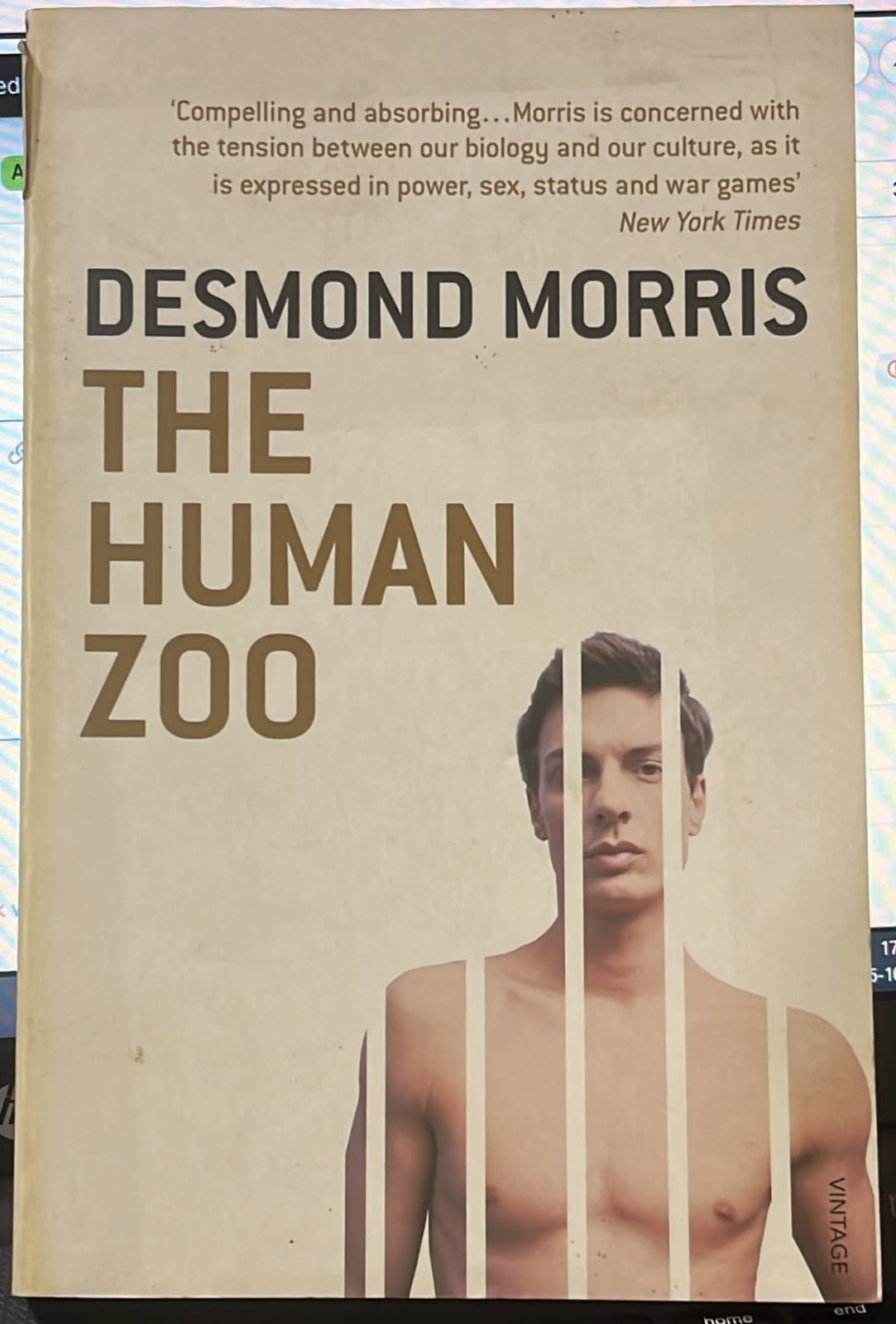 The Human Zoo (RARE BOOKS) by DESMOND MORRIS