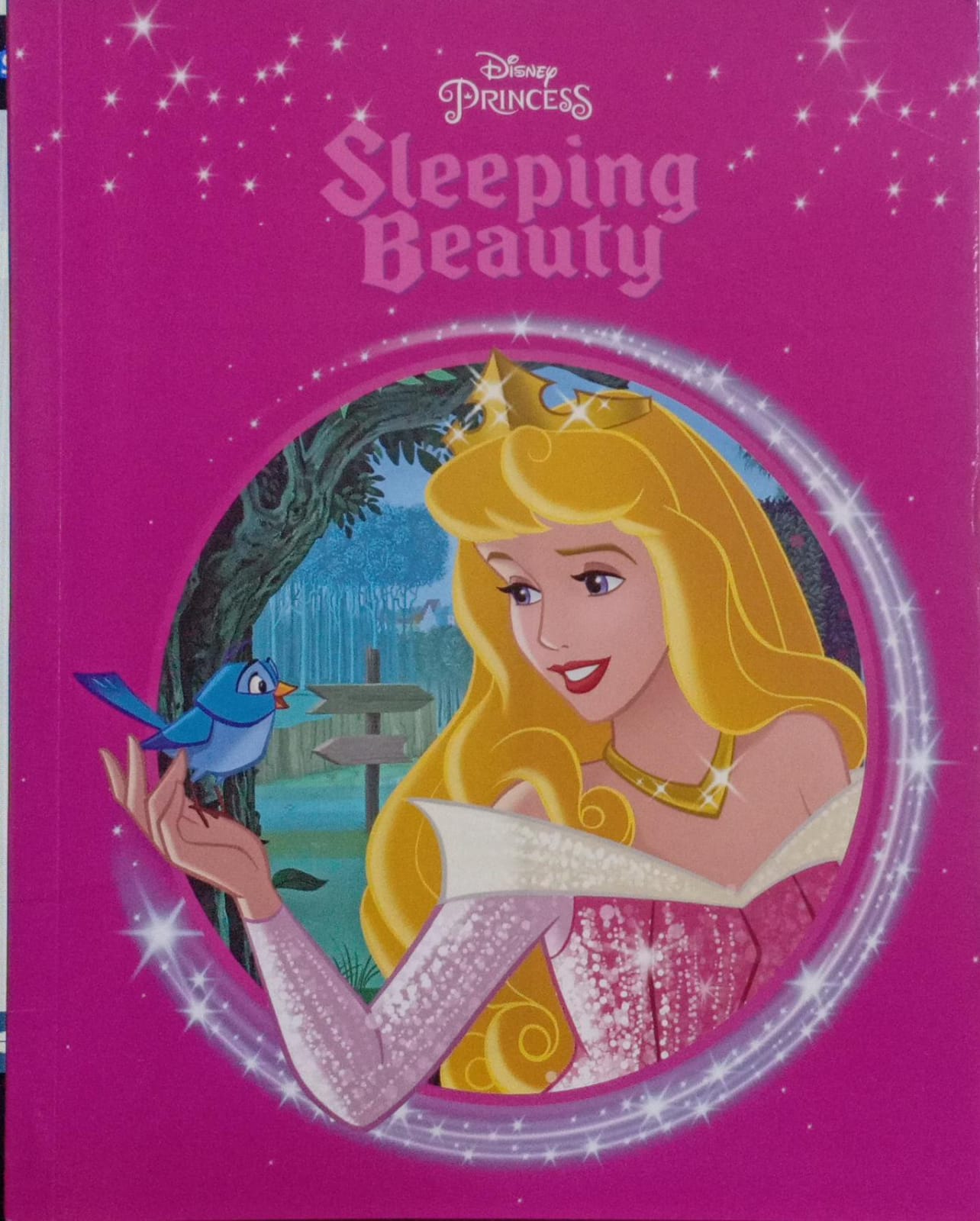 Disney Princess Sleeping Beauty