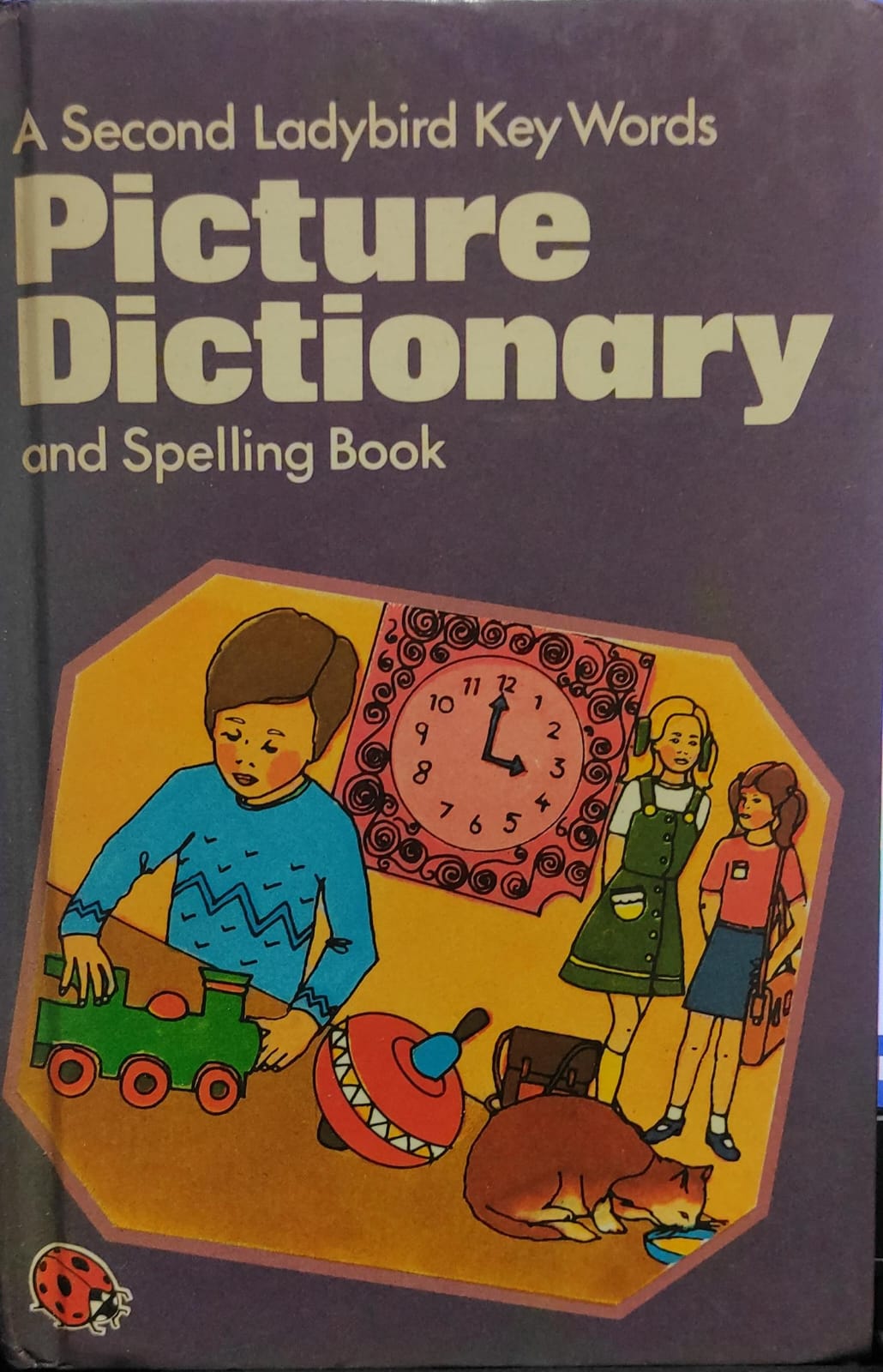 Picture Dictionary [HARDCOVER]