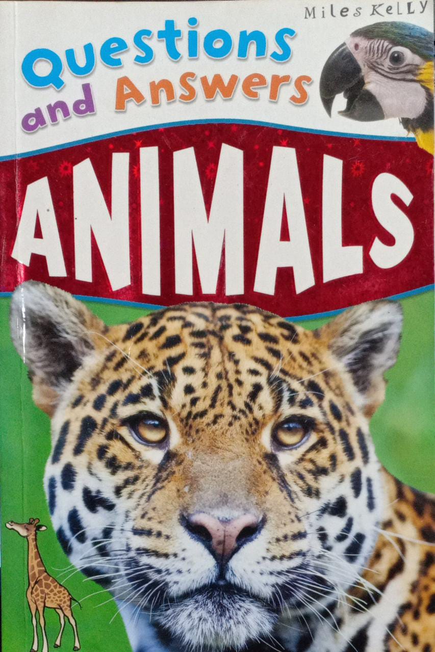 Q & a - Animals
