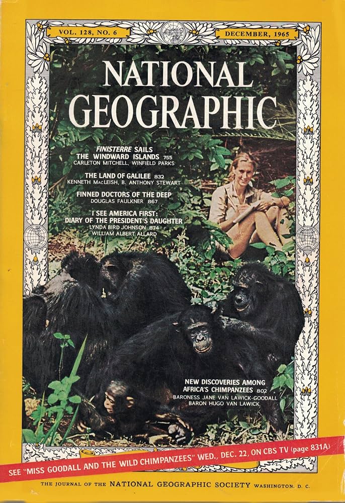 national geographic vol.128, no.6 december 1965 [rare books]