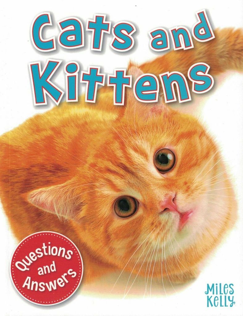 CATS & KITTENS