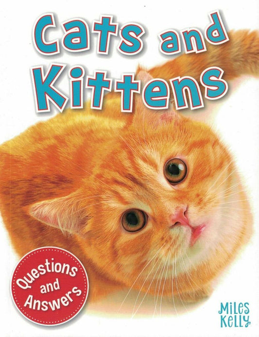 CATS & KITTENS