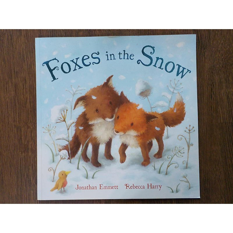 Foxes in the Snow