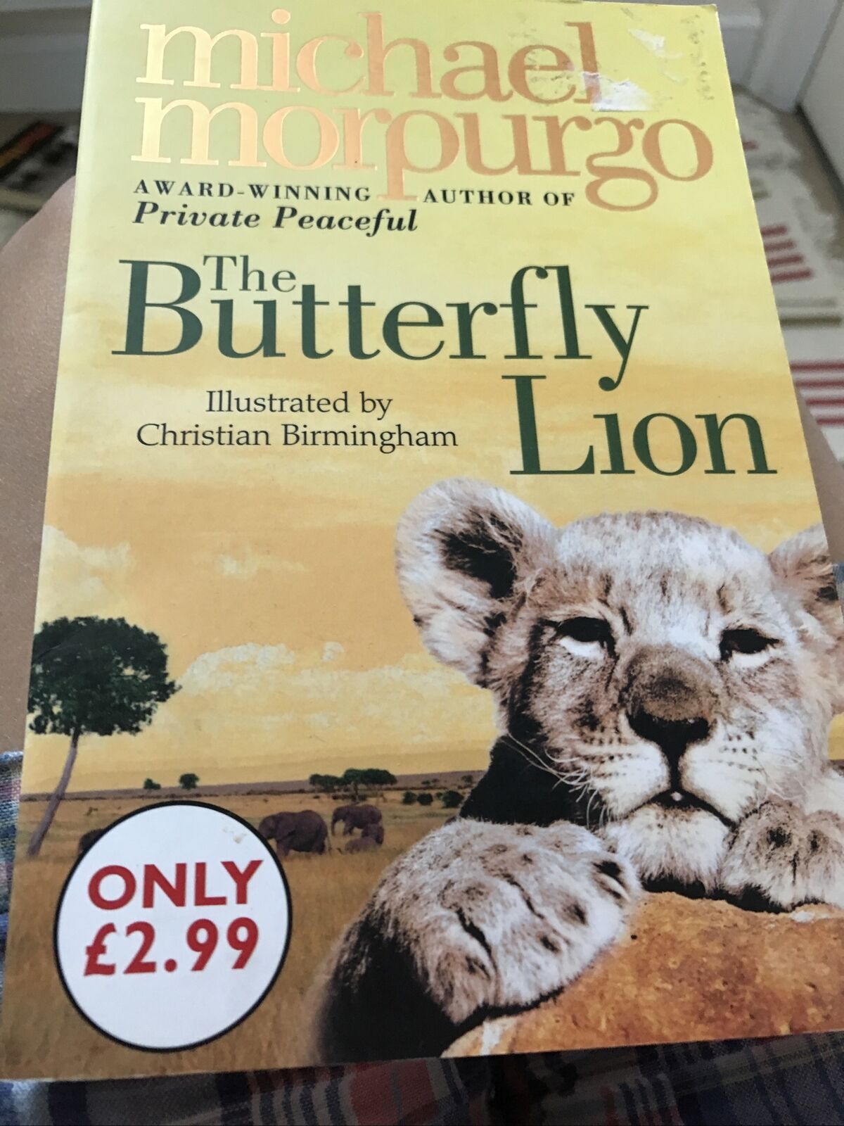 The Butterfly Lion